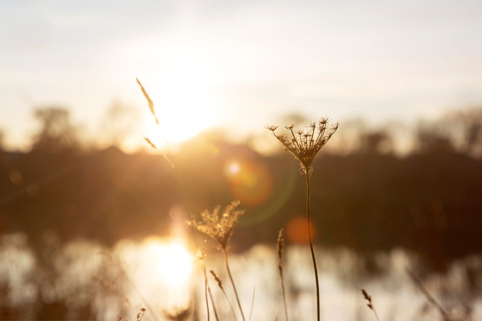 How can we take better care of our hearing?